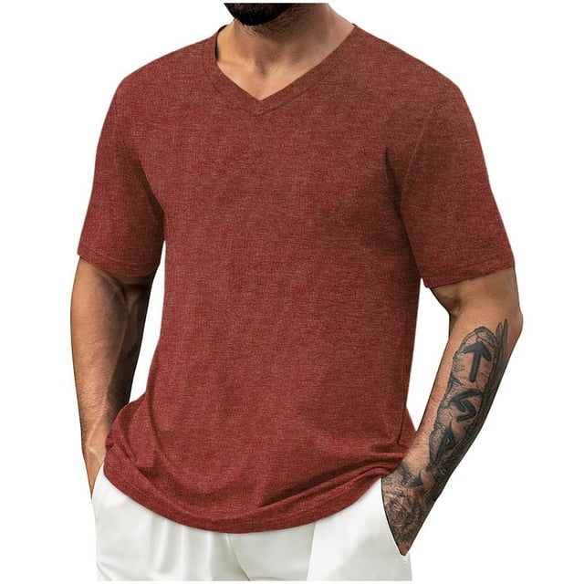 Erwazi Mens T Shirts Summer V Neck Short Sleeve Solid Color Soft Casual Basic Tee