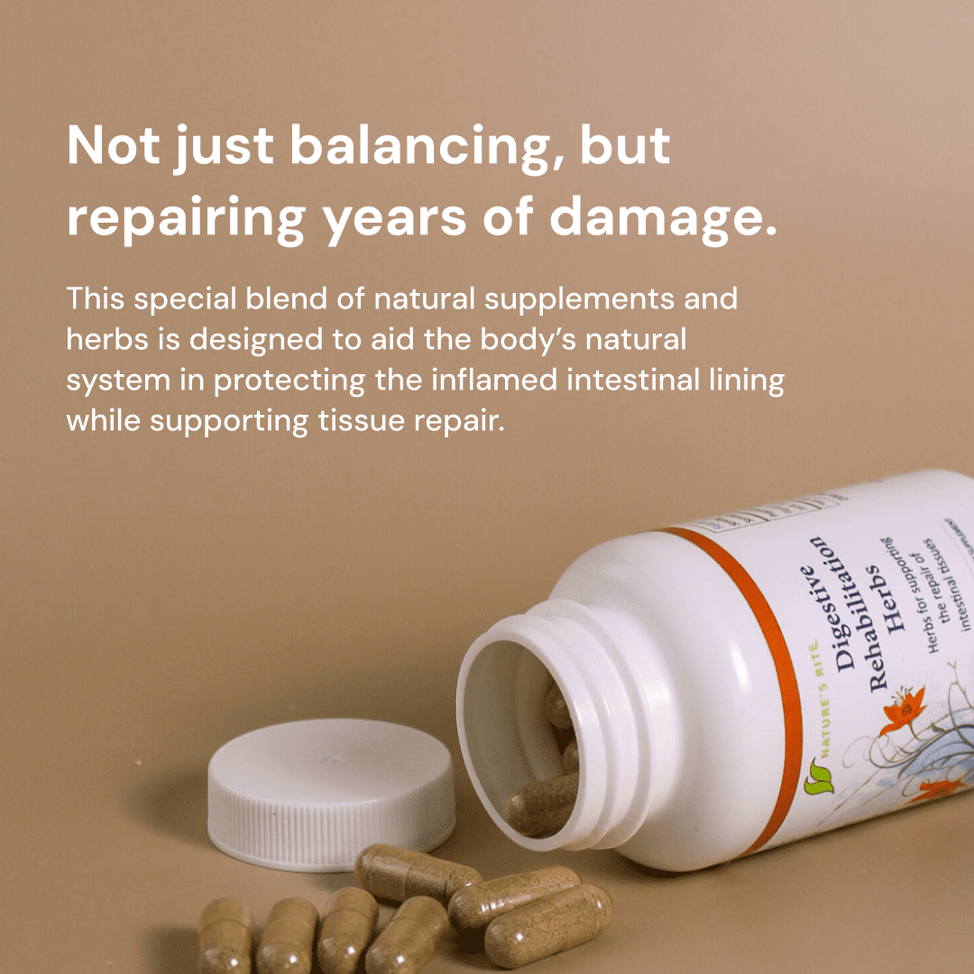 Nature’s Rite Digestive Rehabilitation Herbs with Digestive Enzymes, All-Natural Herbal Digestive Support, Fast-Acting Formula, 60 Capsules