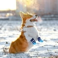 thumbnail image 5 of 2 Pairs Anti-Slip Dog Socks for Indoor on Hardwood Floor Wear - Strong Grips Traction Control Prevents Licking Dog Paw Protection for Pet Puppy Dogs, 5 of 7