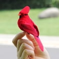 thumbnail image 5 of Mightlink Fake Bird 3D Embedded Eyes Realistic Appearance Hand-crafted Fine Workmanship Unfading Home Decoration Bright Color Red Velvet Foam Artificial Feather Bird for Office, 5 of 7