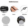 thumbnail image 3 of Small Pet Rabbit Harness And Leash Set Two-legged Chest Strap Outdoor Traction Rope Leash Clothes for Chinchilla Dutch Guinea Pig Breathable Mesh, 3 of 11