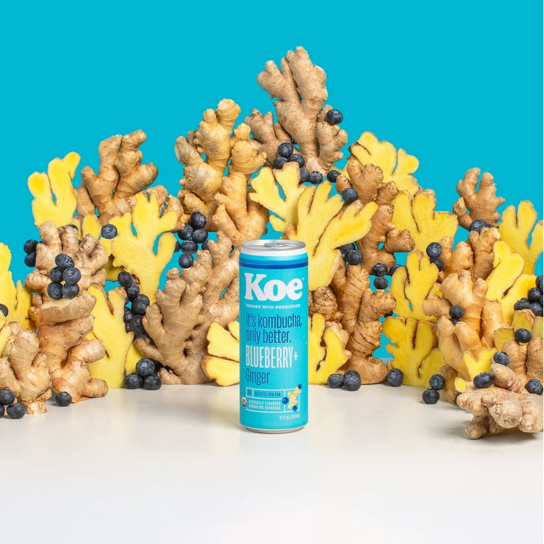 USDA Organic Koe Blueberry Ginger Kombucha - Probiotic Sparkling