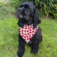 thumbnail image 3 of 2 PCS Summer Dog Bandanas, Cute Fruit Pattern Doggie Scarf for Small Medium Large Dogs Cats Pets (Neck Girth 8-18in) C, 3 of 5