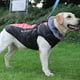 thumbnail image 3 of xl Suéter para perros Ropa para perros grandes Ropa para mascotas Ropa reflectante y cálida para perros Ropa acolchada de algodón Xl, 3 of 5