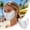 D, variant on UV Face Mask Sun Protection UPF 50 Plus, Blocks 98 Percent of UVA and UVB Rays, Washable Reusable Face Mask for Women Outdoor Activities, Sun Care