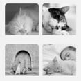 thumbnail image 3 of Cat House, Cat Bed House Foldable Gray  For Bedroom SPets Within 7.7lb,MPets Within 16.5lb,LFor Several Pets, 3 of 8