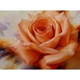 thumbnail image 3 of Levashov, Igor 14x11 Black Modern Framed Museum Art Print Titled - Orange rose, 3 of 5