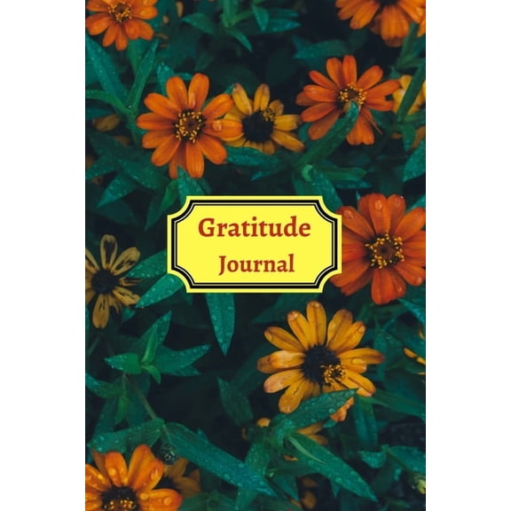 Gratitude Planner for teens and adults (Paperback)
