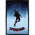 thumbnail image 1 of Marvel Spider-Man - Dans le Spider-Verse - Chute, 1 of 4
