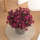 thumbnail image 5 of Flores artificiales Toystoory 5 piezas crisantemo seda Rosa roja, 5 of 6