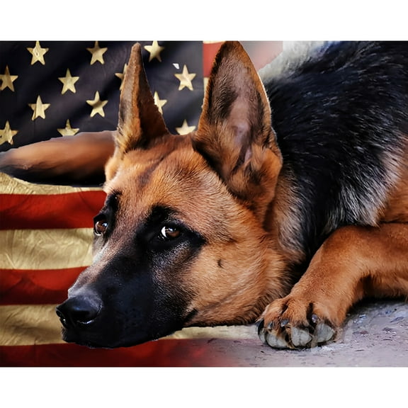 5D Diamond Painting Kits for Adults kids Beginners Paint By Diamond Set  Round Full Drill Craft Diamond Art Painting Art Craft Painting Kit-Brown flag dog German shepherd