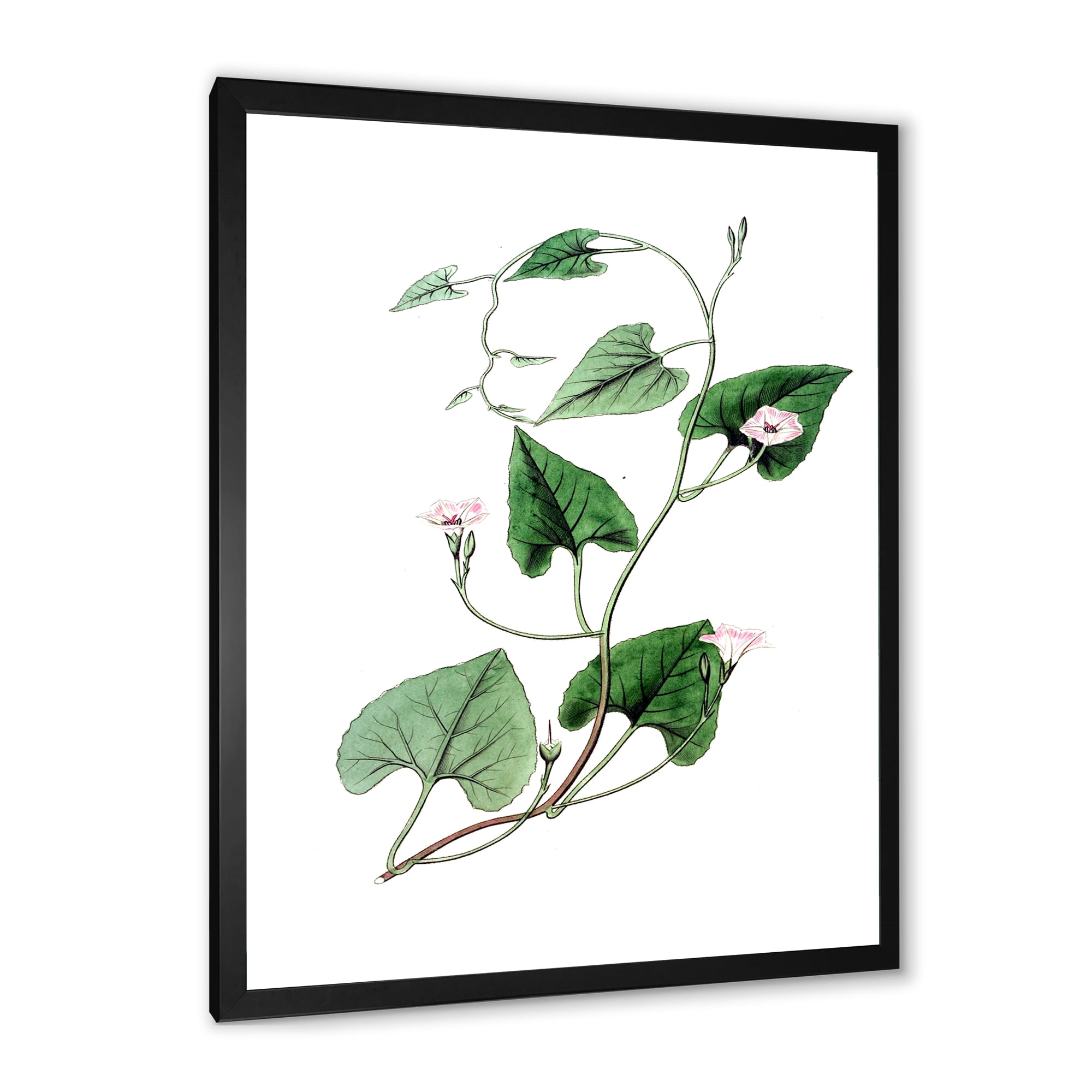 Designart 'Ancient Green Leaves Plants IX' Traditional Framed Art Print