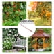 thumbnail image 4 of Dispositivos Para Asustar Pájaros 4 Varillas Reflectantes Para Asustar Pájaros Con Diseño Colgante Para Jardines Terrazas Balcones árboles Frutales Granjas Para Mantener A ANGGREK Otros, 4 of 8