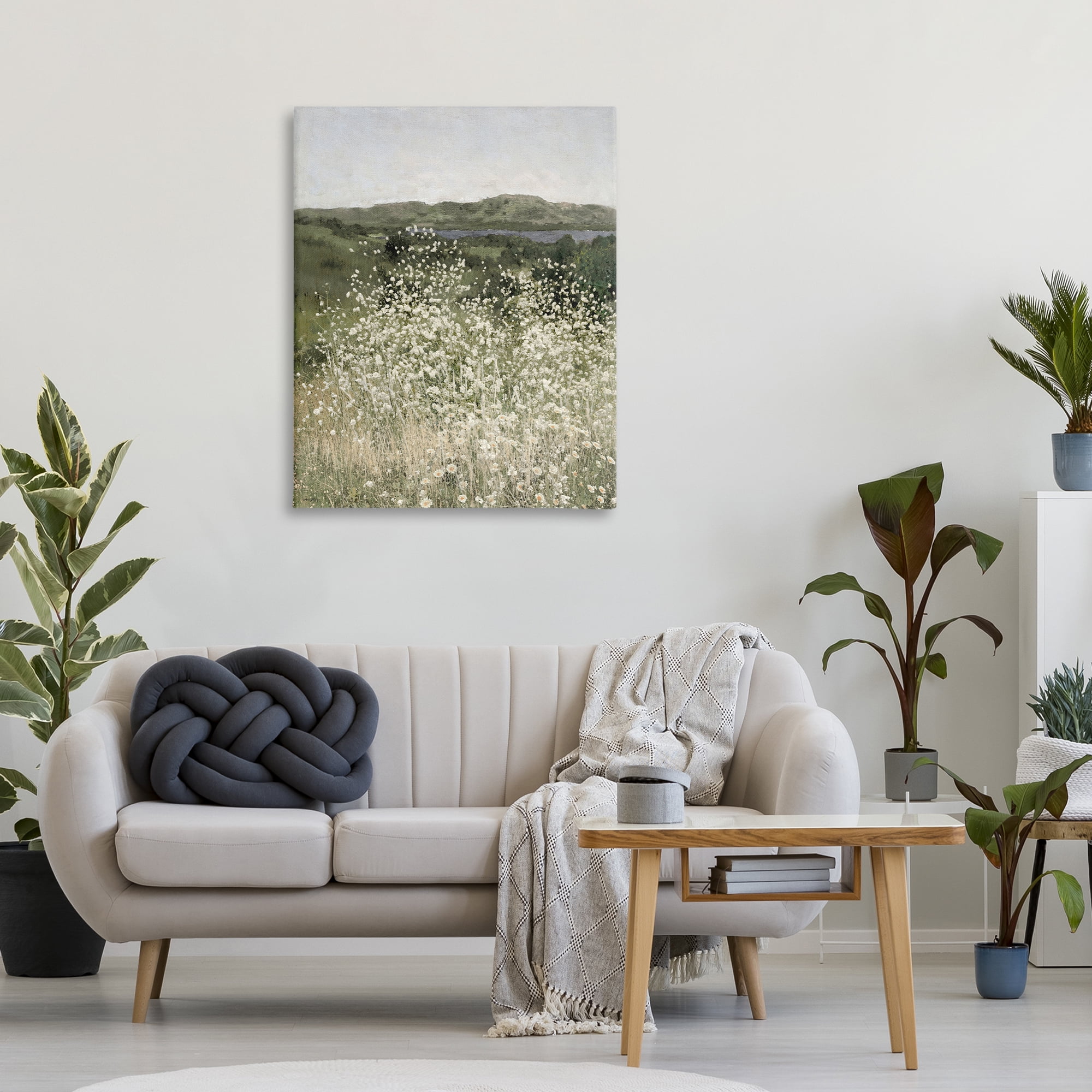 Stupell Industries Sunlit Meadow of White Daisies Canvas Wall Art, design by Amber Sterling