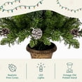 thumbnail image 5 of 4-Piece Christmas Decoration Set, Pre-Lit Artificial Holiday Décor, Wreath and Set of 2 3FT Entrance Trees X-mas with 295 LED Lights, PVC Festival Decoration, Green, 5 of 9