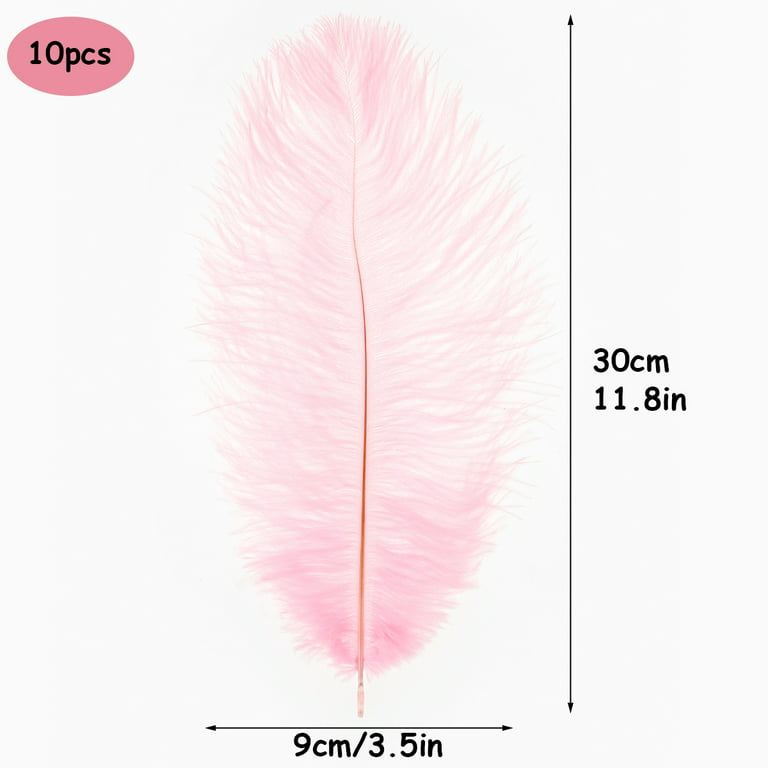 Relax love Ostrich Feather Plume 10Pcs Multi-Color Ostrich Feather Plume  Decorative Pink Gold Purple Feather Craft Fashion DIY Large Feather Party  Centerpieces for Home Wedding,Pink 