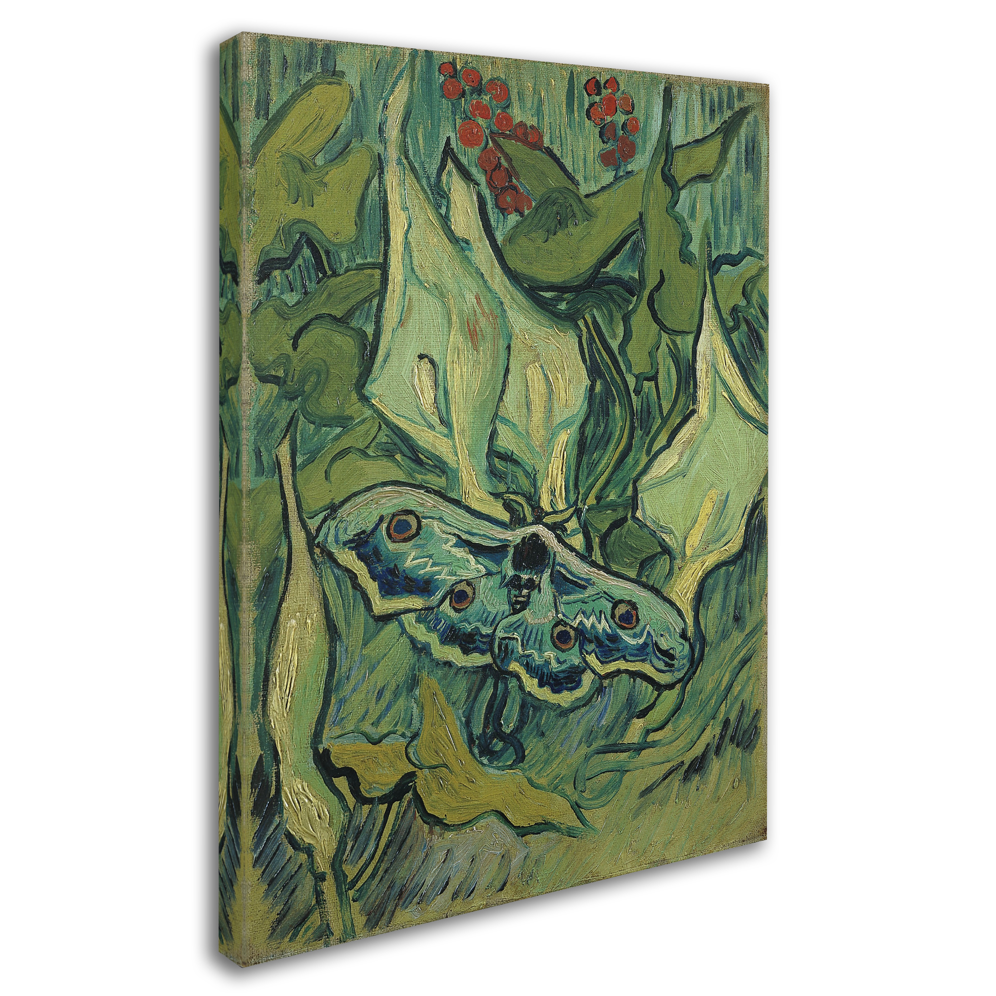 Trademark Fine Art 'Emperor Moth' Canvas Art by Van Gogh