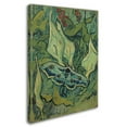 thumbnail image 2 of Trademark Fine Art 'Emperor Moth' Canvas Art by Van Gogh, 2 of 3
