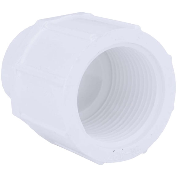 Charlotte Pipe PVC 02101 3600 Pipe Adapter Schedule 40 3/4" Slip X 1" D FPT PVC