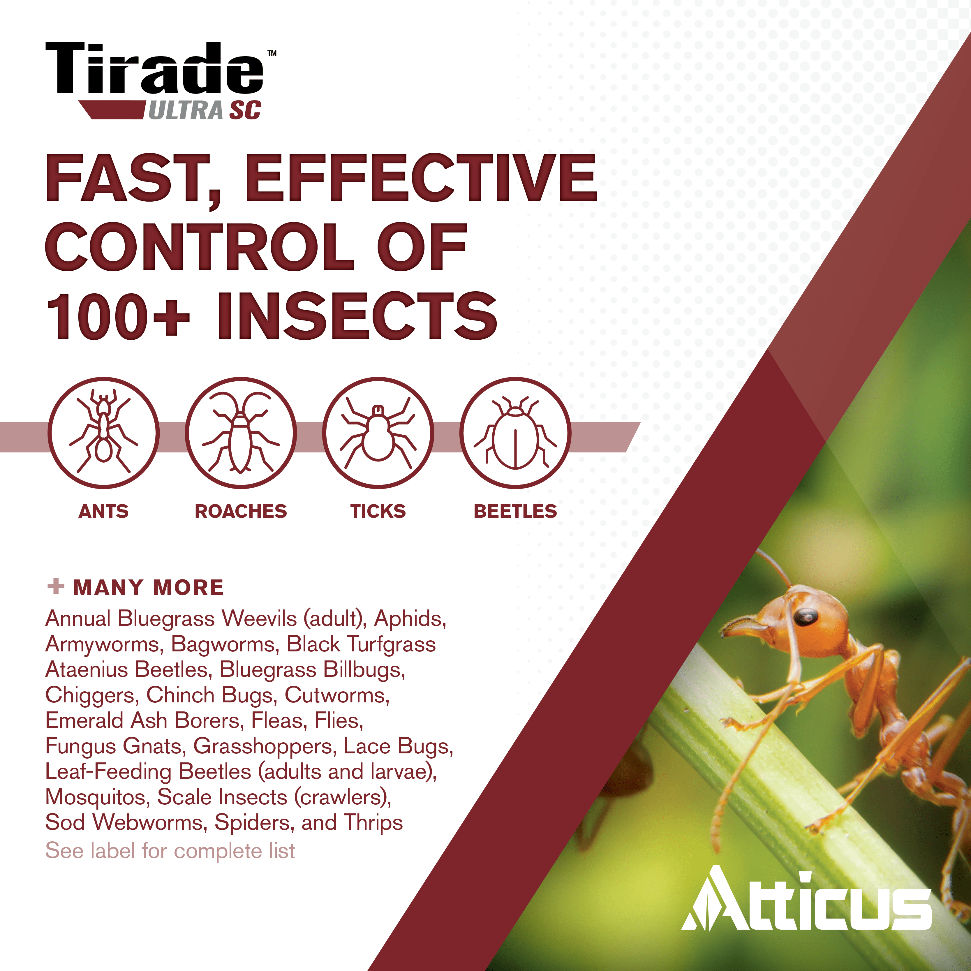 Tirade Ultra SC Insecticide (240 ml) by Atticus - (Compare to Tempo Ultra SC) - Beta-Cyfluthrin Pest Control for Indoor and Outdoor Use