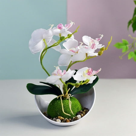 Artificial White Phalaenopsis Orchid Flower Arrangement with Pot. Made with Lifelike silk and real looking Plastic. Makes a great Decoration for Home  Office  or Wedding. (2 Pack) Artificial White Orchid Flower Arrangement with Pot (2 Pack) Overview: This artificial white orchid is made by high quality silk cloth for each petal. Stems are made of plastic. It has a very natural look. STYLE: No maintenance  no watering easy to clean. Perfect for all seasons. Our stylish artificial phalaenopsis orchid will add beauty to any room decor. USAGE: Desktop decoration  kitchen flowers artificial for decoration  studio decor  fake orchid plants for home decor  enhance indoor decor with artificial phalaenopsis orchid faux plants. Beautiful artificial flowers with vase for office  artificial orchid flowers for living room decor  artificial orchid flowers for bedroom fake orchids for kitchen decor  artificial phalaenopsis orchid wedding centerpiece  party table centerpiece of orchids artificial flowers. QUALITY: Realistic silk flowers with stems  our artificial rose orchids feel real to the touch. Premium silk flower decorative plants to enhance any room decor. The quality of our silk orchids is unmatched. The premium choice for silk flowers with stems. GREAT GIFT: Artificial orchids for Valentine s Day Gift or Mother s Day Gifts. Give an artificial phalaenopsis orchid as a wife birthday gift. Give this nearly natural orchid plant for any occasion. These beautiful artificial orchid flowers will bring joy to any loved one. Specs: Length: 7  Width: 10  Height: 5  Package Qty: (2) Orchid Flower Arrangement