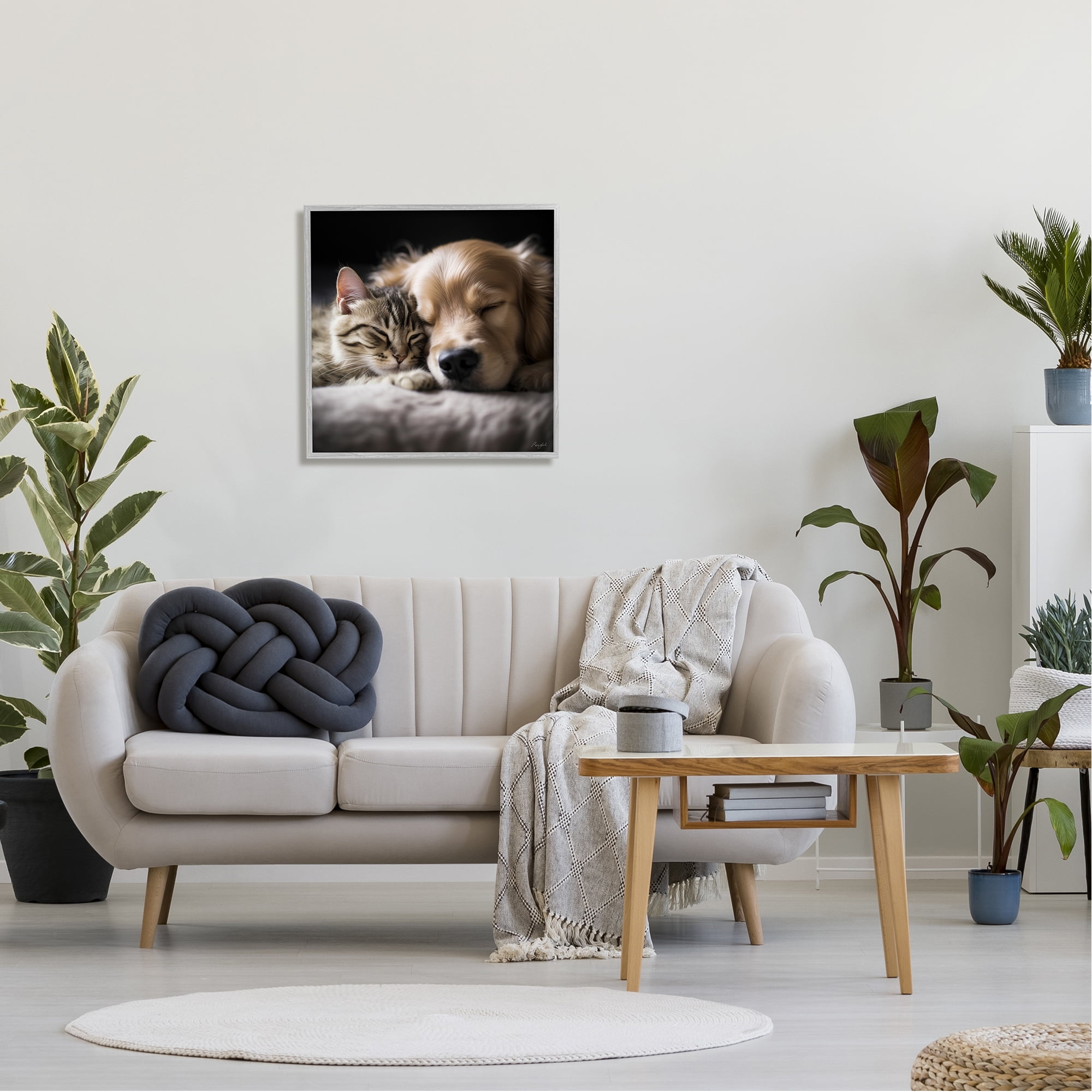 Stupell Industries Cat & Dog Photography Animals & Insects Photography Gray Framed Art Print Wall Art, 24 x 24