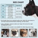 thumbnail image 2 of Short Snout Dog Muzzle,soft Silicone Adjustable Breathable Bulldog Muzzle For French Bulldog Shih Tzu And Pug For Biting Chewing Training, 2 of 4
