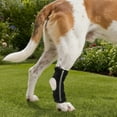 thumbnail image 2 of KMWGRE Dog Leg Brace Support Knee Clamp Pet Joint Stabilizer for Injury Recovery and Mobility Aid C One Size, 2 of 4