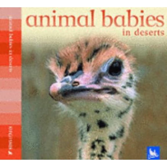 Pre-Owned Animal Babies in Deserts (Hardcover) 0753413027 9780753413029