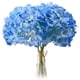 thumbnail image 1 of Azul Claro Cabezas de Flores de Seda de Hortensia Paquete de 20 Flores de Hortensia Completas Artificiales con Tallos para Boda, 1 of 5