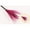 🔥 Hot Pink_New, variant on KITTEHIGM Halloween Witch Flying Broomstick Costume Prop Halloween Party Dance Dress Up Accessory for Adults with Realistic Design and Lightweight Material