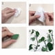 thumbnail image 4 of 50 piezas de clips para plantas trepadoras de pared, clips verdes para enredaderas, clips invisibles para plantas trepadoras, clips para plantas de pared, ganchos para enredaderas, 4 of 5