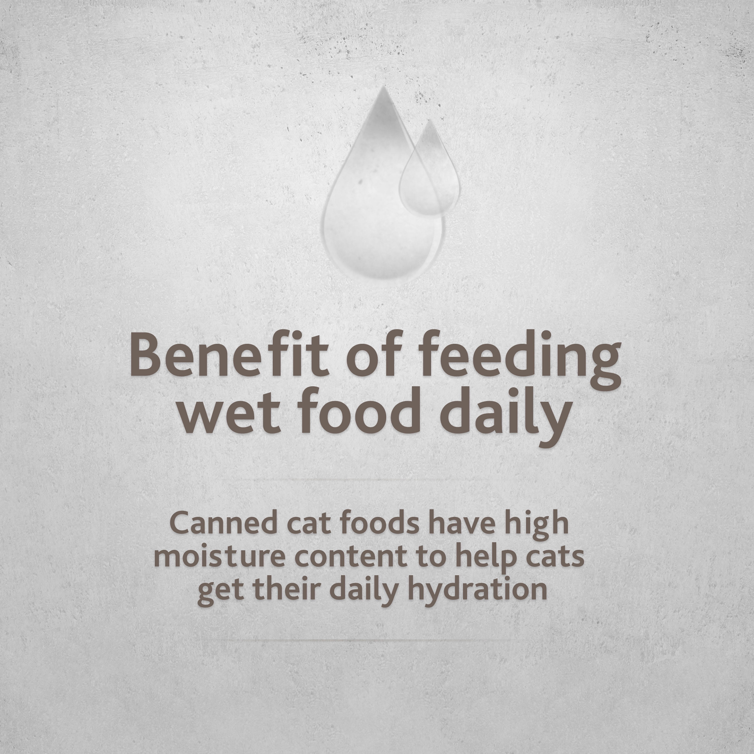 Pure Balance Pro+ Healthy Maturity 7+ Pate for Cats, Salmon & Chicken Formula, 2.64 oz