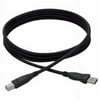 Accell A001B-006B Accell Premium USB Cable - Type A Male USB - Type B Male USB - 6ft