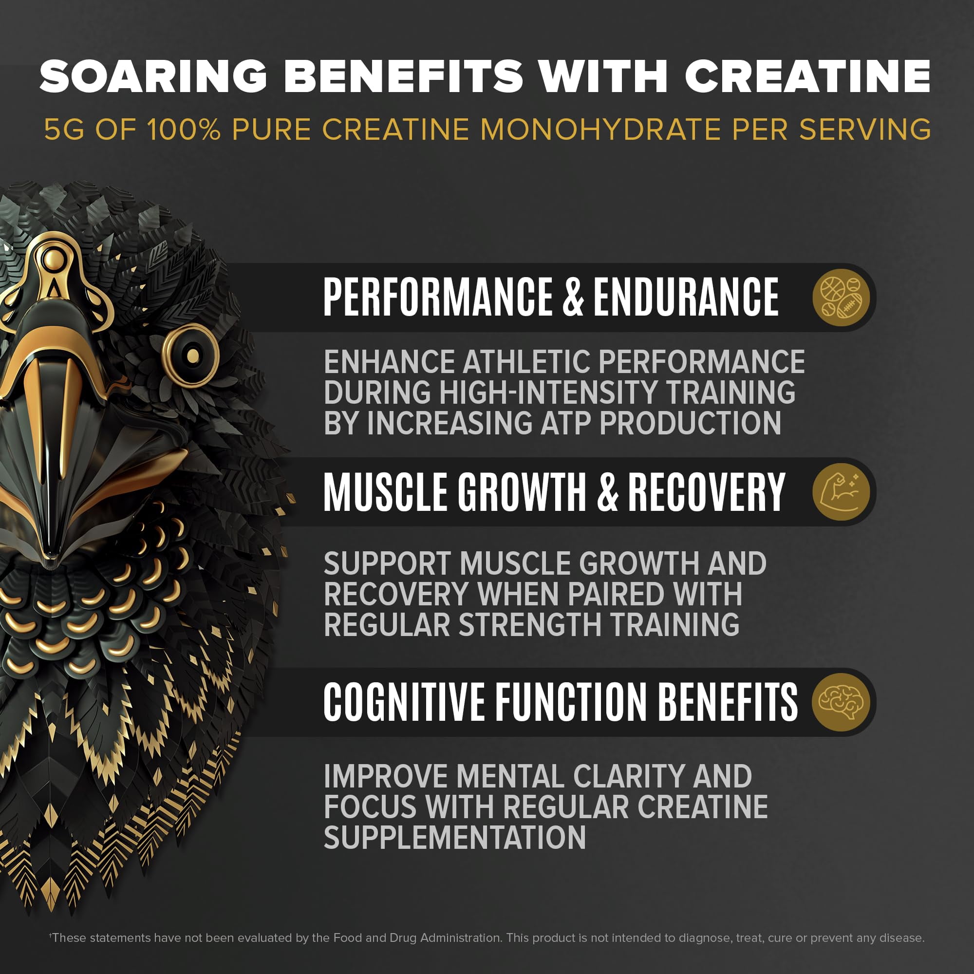 BIRDMAN Falcon Performance Vegan Protein Powder with Creatine, Vanilla Flavor, 49 Servings, 5lb