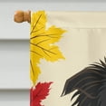 thumbnail image 3 of Caroline's Treasures BB2047CHF Border Collie Thanksgiving Flag Canvas House Size , Large, multicolor, 3 of 4