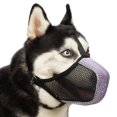 thumbnail image 1 of Bozal Mayerzon de malla suave para perros grandes, medianos y pequeños, 1 of 8