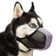 thumbnail image 1 of Bozal Mayerzon de malla suave para perros grandes, medianos y pequeños, 1 of 8