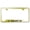 Gold, variant on Buick Laser Etched Logo Cut-Out License Plate Frame (Brushed Chrome)