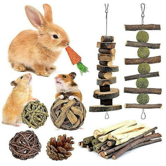 Rabbit Toys, Hamster Small Animals Treats