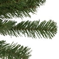 thumbnail image 3 of Northlight Medium Oakridge Noble Fir Artificial Christmas Tree - 2' - Unlit, 3 of 7