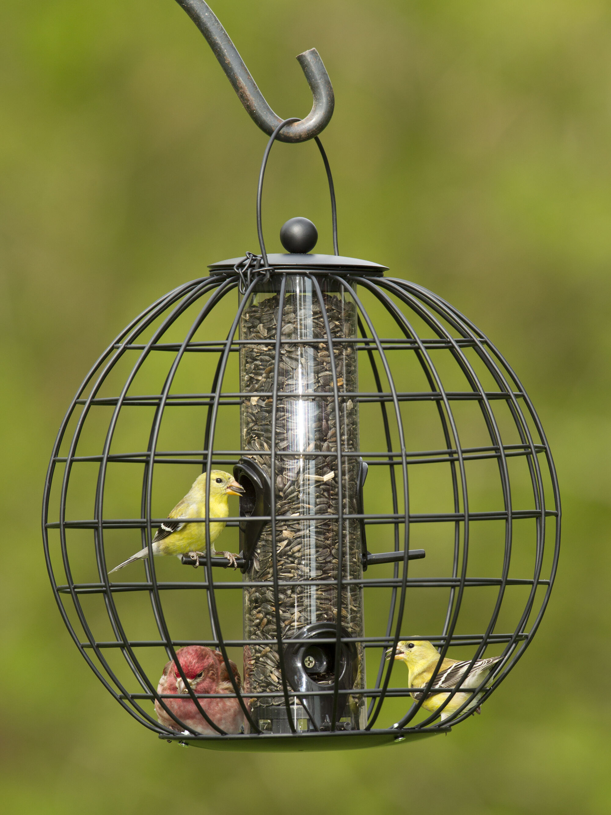 Mixed Seed Globe Cage Feeder