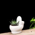 thumbnail image 3 of Coofit Flower Pot Creative Decorative Ceramic Plant Pot Flower Planter for Hotel, 3 of 8