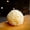 Natural, variant on Beeswax Rose Ball Candle