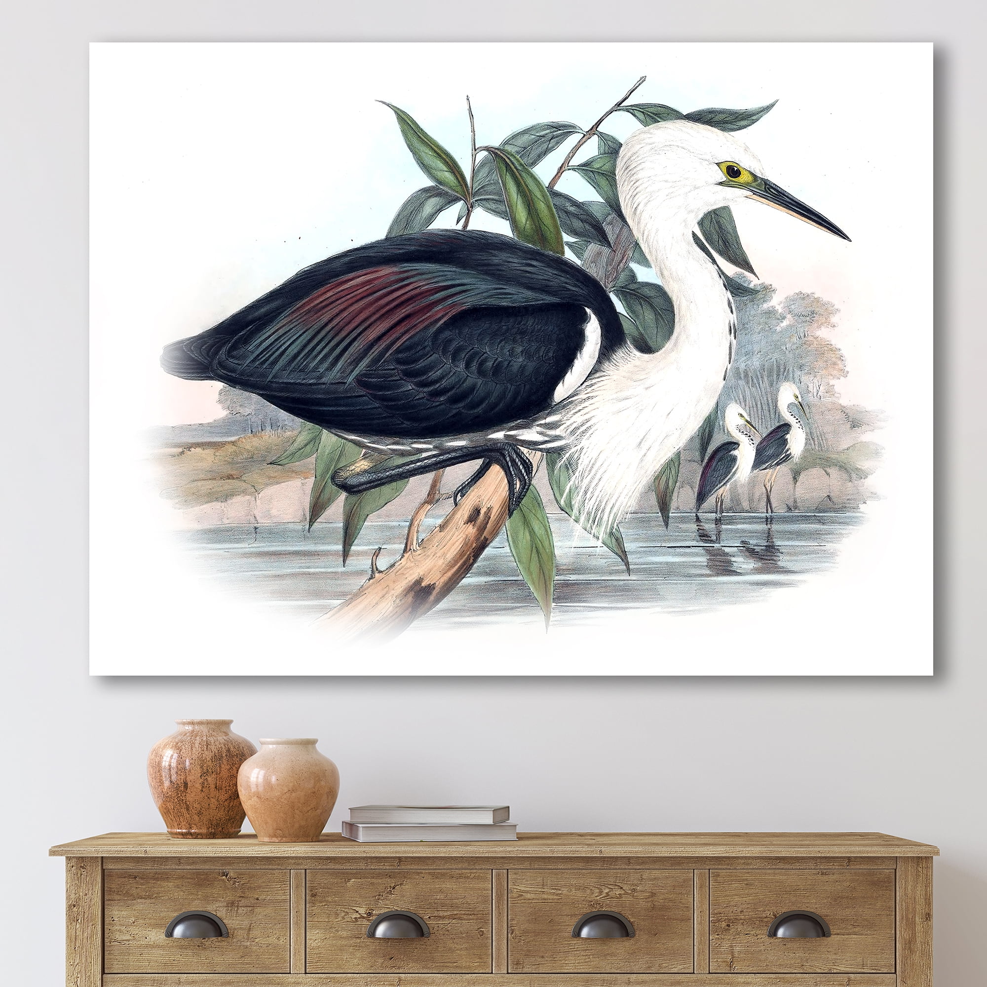 Designart ' Ancient Birds Of Australia ' Traditional Canvas Wall Art Print