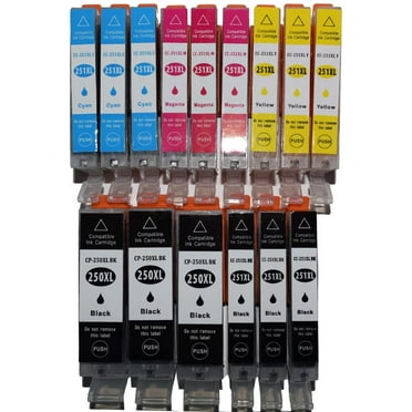 GTS Compatible PGI250 CLI251 Ink Cartridges – 20-Pack For Canon PIXMA Printers