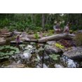 thumbnail image 2 of AquascapePRO 29021 1.5 in. X 25 ft. Flex PVC Pipe, 2 of 4