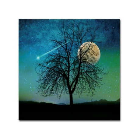 Trademark Fine Art 'Opalescent Sky' Canvas Art by Tina Lavoie