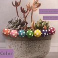 thumbnail image 2 of 20 Pcs Miniature Fairy Garden Ornaments Kit,micro Landscape Mushrooms, 2 of 5