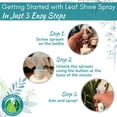 thumbnail image 6 of Houseplant Leaf Shine Spray - Leaf Polish, Gloss, and Shine, Perfect for House Plants and Foliage, 6 of 9